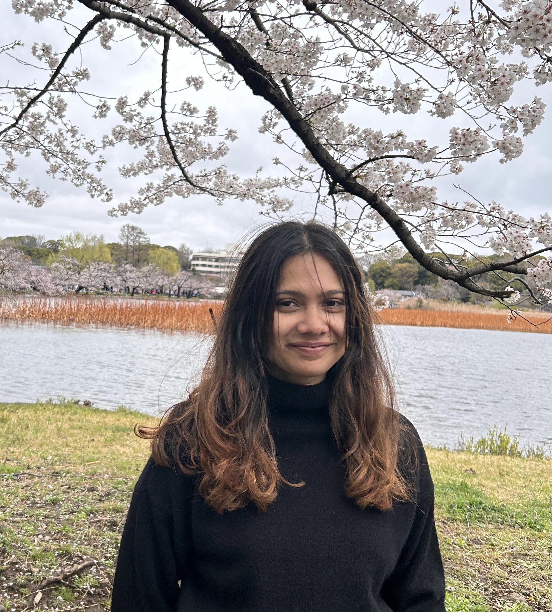 Picture of the author